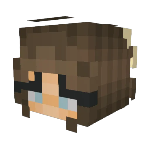 FroschK1 Minecraft avatar head, 3D render