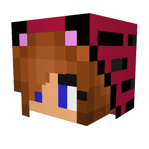 FroschPlays Minecraft avatar head, 3D render