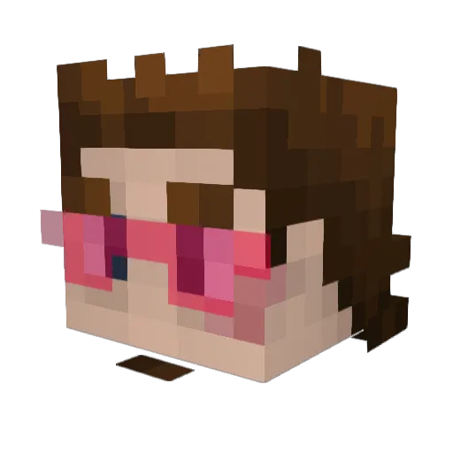 Froschisnetdumm Minecraft avatar head, 3D render