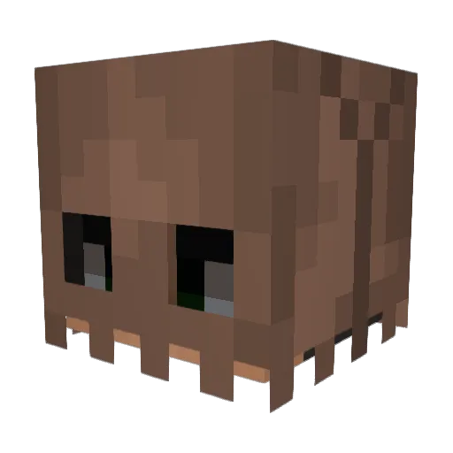 Froshimaru Minecraft avatar head, 3D render