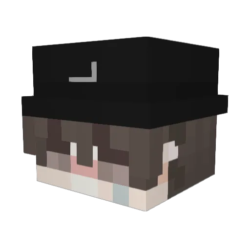 Frost897 Minecraft avatar head, 3D render
