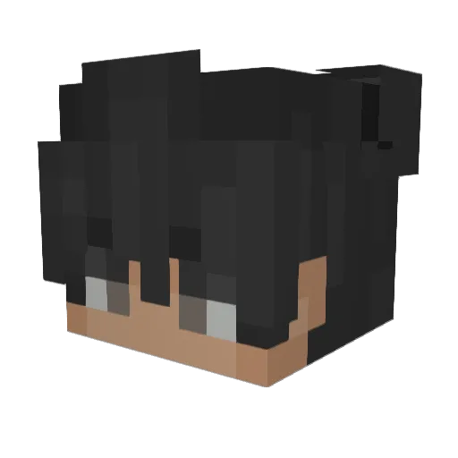 Frost9nine9 Minecraft avatar head, 3D render