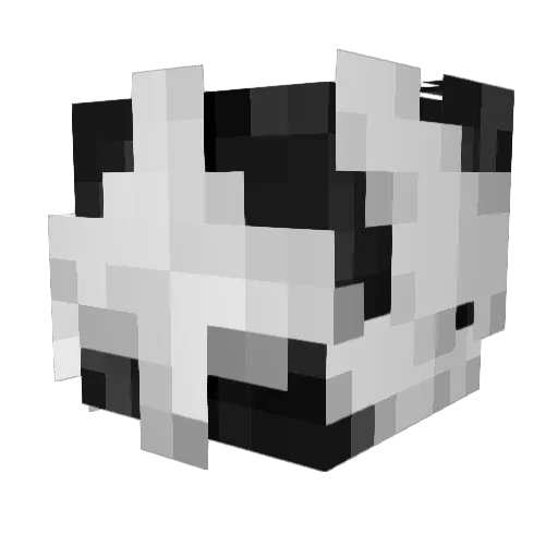 FrostFN6732 Minecraft avatar head, 3D render