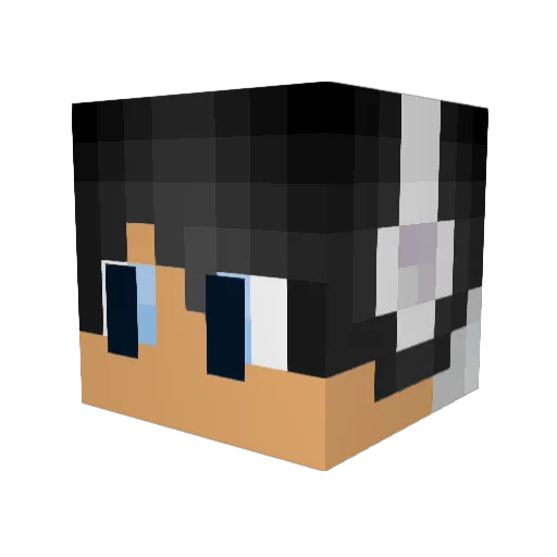FrostFTW Minecraft avatar head, 3D render