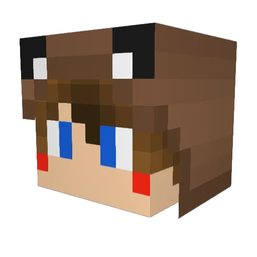 FrostOX9 Minecraft avatar head, 3D render