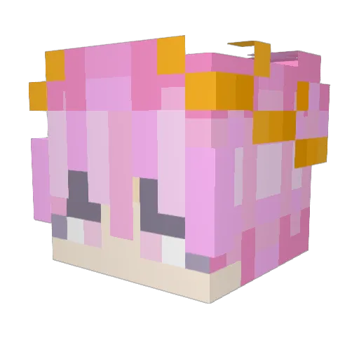 Frost_909 Minecraft avatar head, 3D render