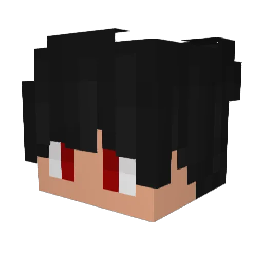 Frost_Agent007 Minecraft avatar head, 3D render