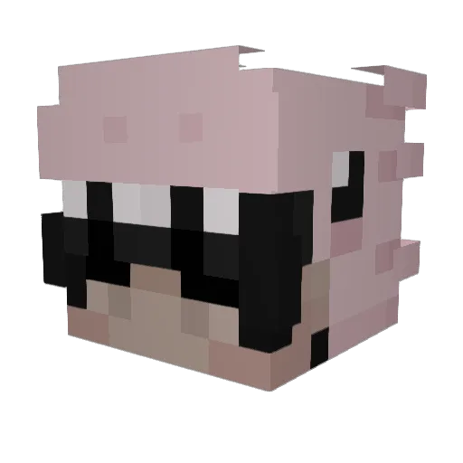 Frost_Dino20 Minecraft avatar head, 3D render