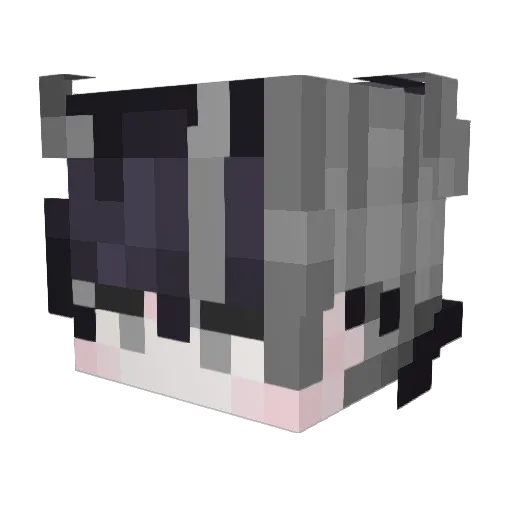 Frost_Paw Minecraft avatar head, 3D render