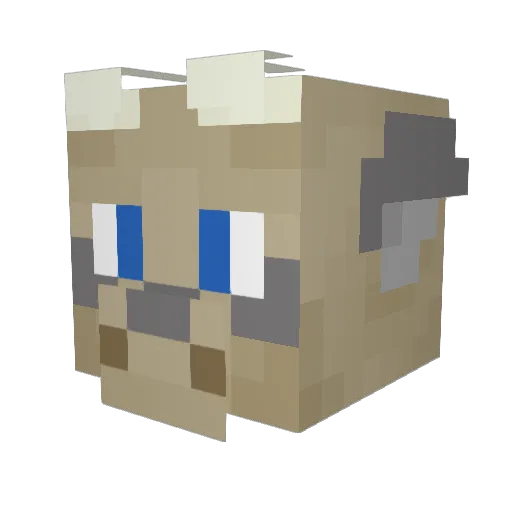 Frost_Skyder Minecraft avatar head, 3D render