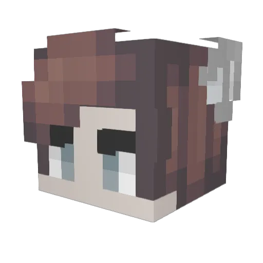Frostbite314 Minecraft avatar head, 3D render