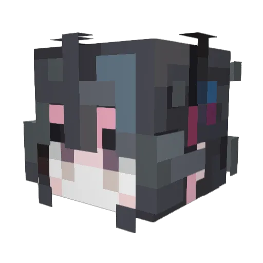 Frostbone100 Minecraft avatar head, 3D render