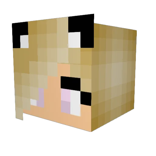 Frostbytten1 Minecraft avatar head, 3D render
