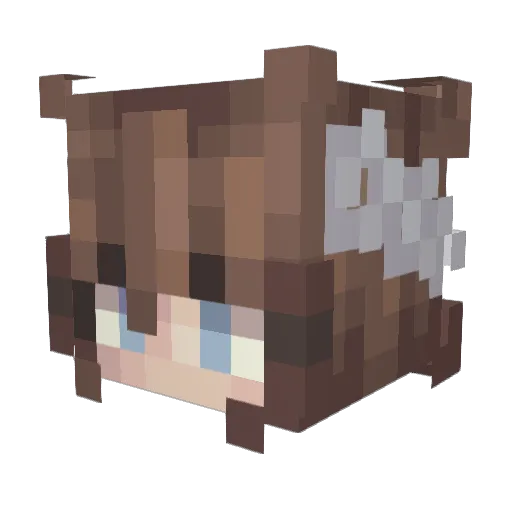 FrostedBeef553 Minecraft avatar head, 3D render
