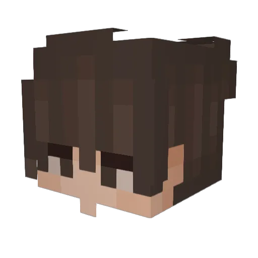 FrostedCafe6263 Minecraft avatar head, 3D render
