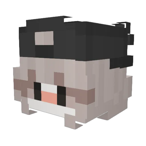 Frosted_Cake Minecraft avatar head, 3D render