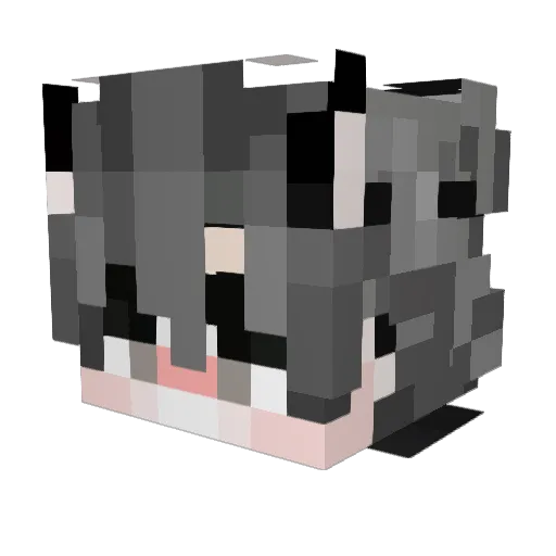 Frosted_F1akes_ Minecraft avatar head, 3D render