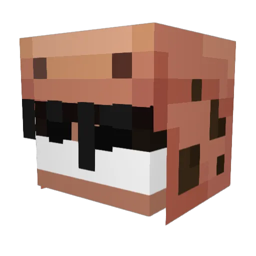 Frostiingz Minecraft avatar head, 3D render
