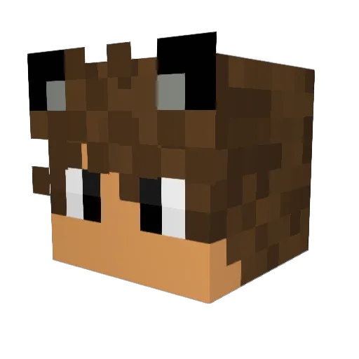 Frostiy_ Minecraft avatar head, 3D render