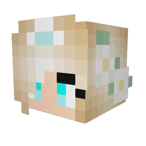 Froststorm26 Minecraft avatar head, 3D render