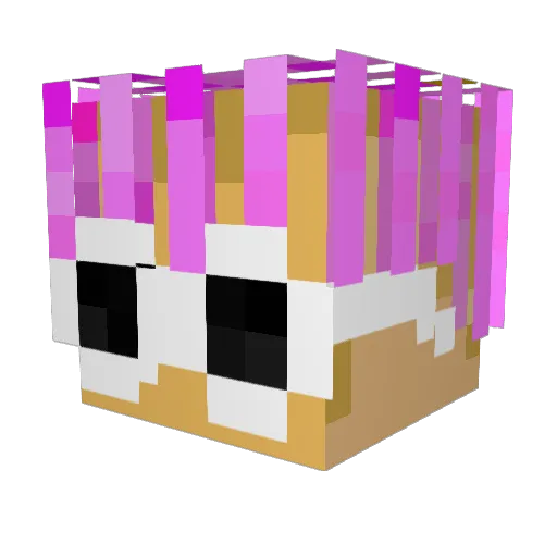 Frosty224 Minecraft avatar head, 3D render
