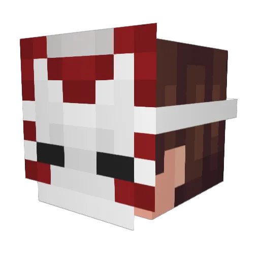 Frosty3Snow Minecraft avatar head, 3D render