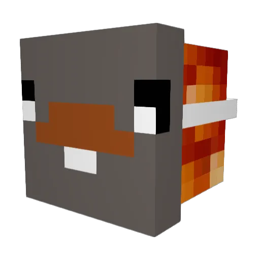 FrostyBoat3 Minecraft avatar head, 3D render