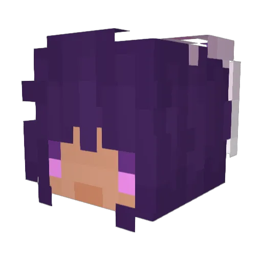 FrostyCh_ Minecraft avatar head, 3D render