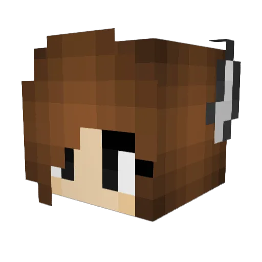 FrostyFox64 Minecraft avatar head, 3D render