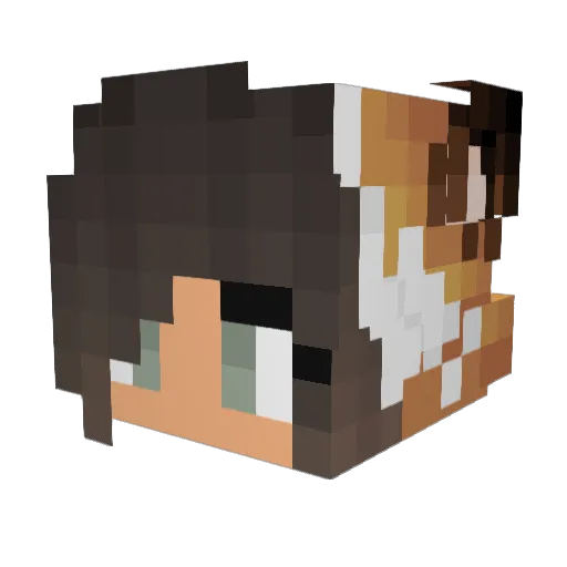 FrostyFoxes Minecraft avatar head, 3D render