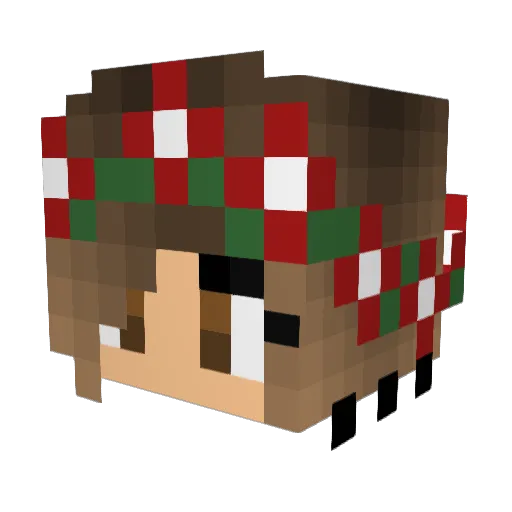 FrostyPanda2 Minecraft avatar head, 3D render