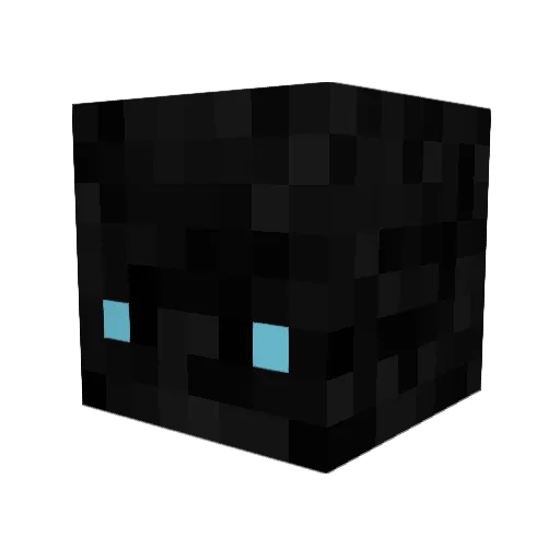 FrostyStar307 Minecraft avatar head, 3D render