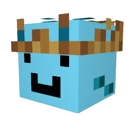Frosty__PVP Minecraft avatar head, 3D render