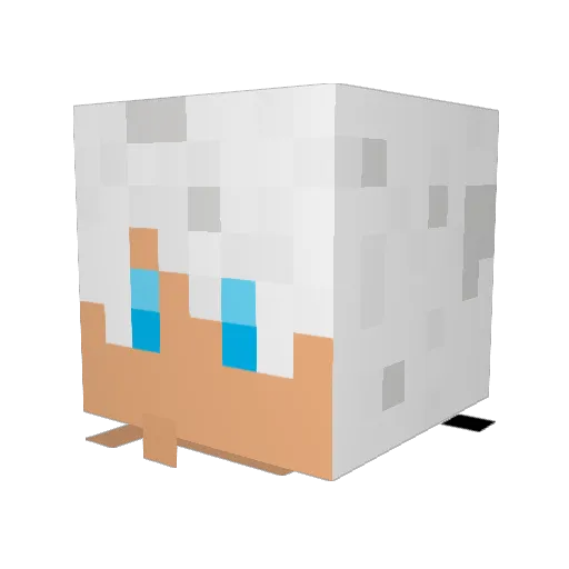 Frosty_____ Minecraft avatar head, 3D render