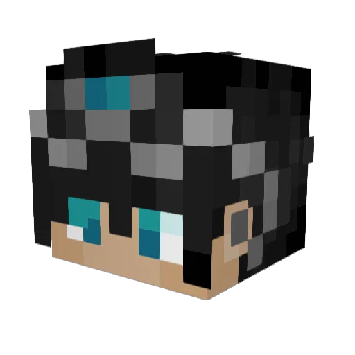 Frostywinter123 Minecraft avatar head, 3D render