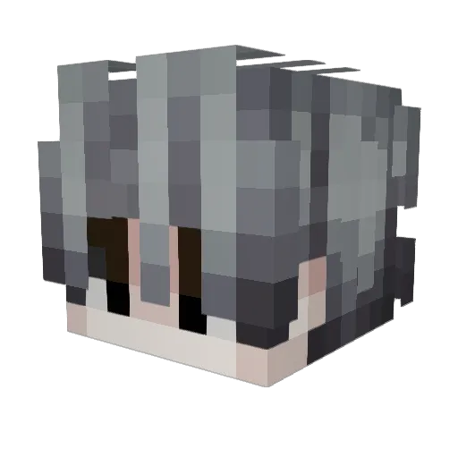 Frostyx_1 Minecraft avatar head, 3D render