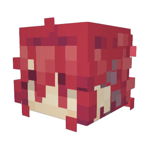 FrosyDogg Minecraft avatar head, 3D render