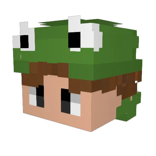 Froth_R0tt Minecraft avatar head, 3D render