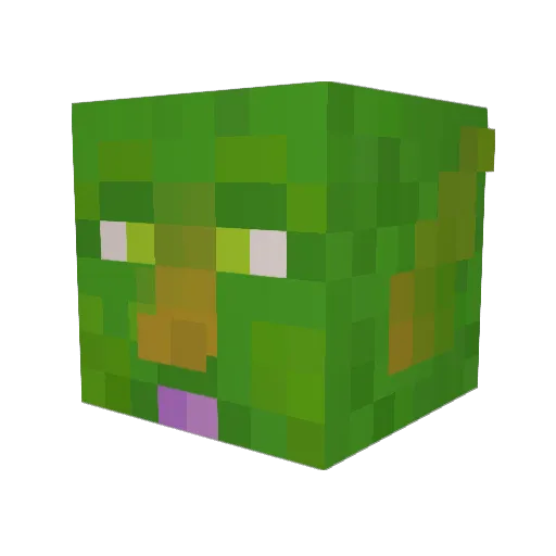 Frothmeum Minecraft avatar head, 3D render