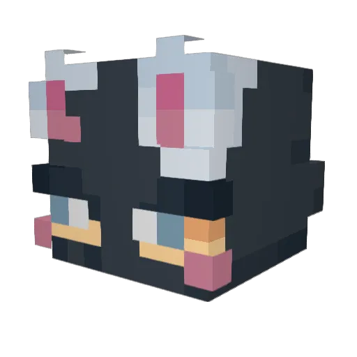 Frotsy Minecraft avatar head, 3D render