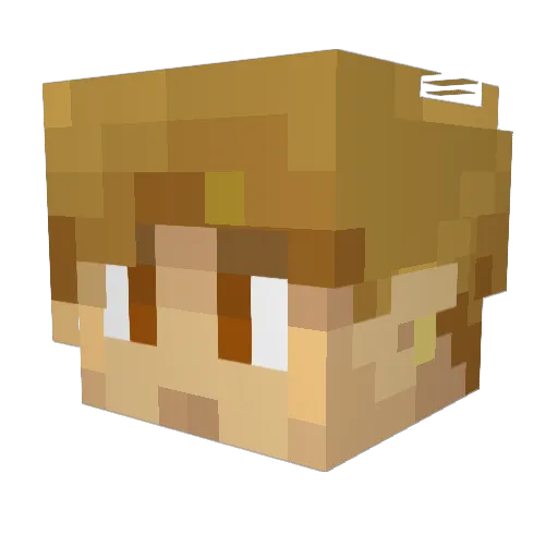 FrouWichtel Minecraft avatar head, 3D render