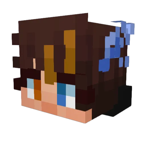Froubix Minecraft avatar head, 3D render