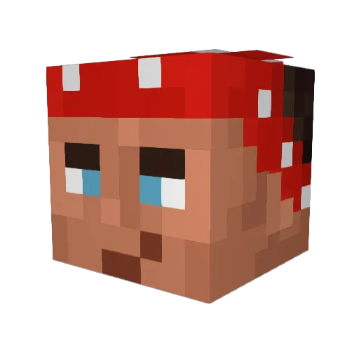 Froukseltje Minecraft avatar head, 3D render