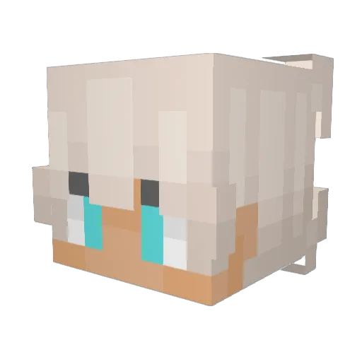 Frowtsy Minecraft avatar head, 3D render