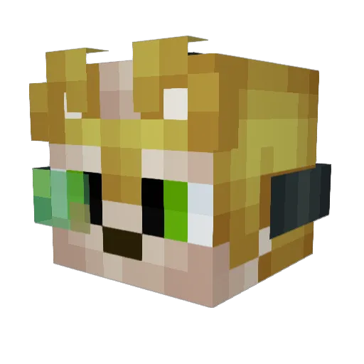 Froxus7 Minecraft avatar head, 3D render