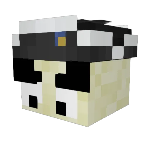 Froyo333 Minecraft avatar head, 3D render
