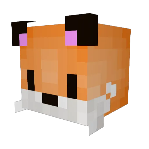 Froz3nWolf Minecraft avatar head, 3D render