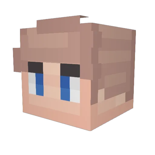 Froze_LK Minecraft avatar head, 3D render