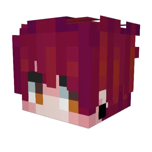 Frozeadoo Minecraft avatar head, 3D render