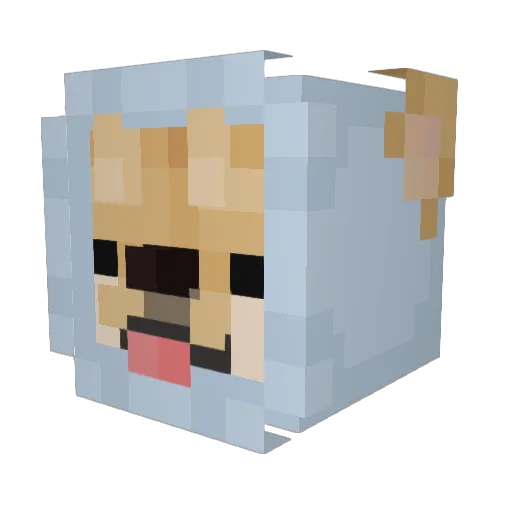 Frozeatrix Minecraft avatar head, 3D render
